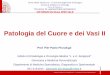 Patologia del Cuore e dei Vasi II - unibo.it