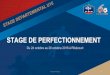 STAGE DE PERFECTIONNEMENT - AEF 60