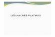LES ANCRES PLATIPUS - Weebly