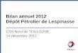 Bilan annuel 2012 Dépôt Pétrolier de Lespinasse