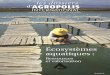 les dossiers d'Agropolis International - Ecosystèmes 