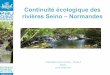 Continuité écologique des rivières seino - normandes