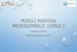Module insertion professionnelle LICENCE 3