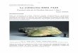 La météorite NWA 7325 - agab.be