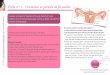 Fiche n° 1 - Ovulation et période de fécondité