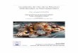 Mission d’inventaire des crustacés de la Réunion