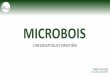 MICROBOIS - fair-and-precious.org