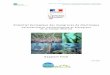 Potentiel cologique des mangroves de Martinique