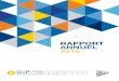 RAPPORT ANNUEL 2016 - GIP MDS