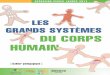 Les GranDs sYstˆMes DU CorPs HUMain