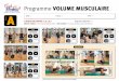 programme volume musculaire