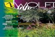WO info - Wolfisheim