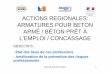 DIECCTE DE LA REUNION ACTIONS REGIONALES: ARMATURES …