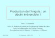 Production de l'Angola : un déclin irréversible