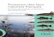 Poissons des lacs naturels français - Quae