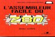 LAssembleur Facile Du Z80