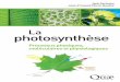 La photosynthèse - Quae