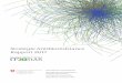 Stratégie Antibiorésistance Rapport 2017