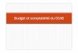 Budget et comptabilité du CCAS - UDAF 95