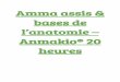 Amma assis & bases de l’anatomie – Anmakio® 20 heures