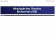 Histologie des Glandes Endocrines (GE) - L2 BICHAT 2017-2018