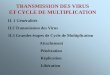 TRANSMISSION DES VIRUS ET CYCLE DE MULTIPLICATION