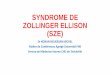 SYNDROME DE ZOLLINGER ELLISON (SZE)