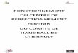 PRESENTATION CENTRE DE PERFECTIONNENT FEMININ LYCEE …