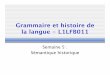 Grammaire et histoire de la langue - L1LFB011