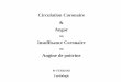 Circulation Coronaire Angor - carabinsnicois.fr