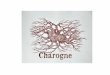 Charogne - Archive