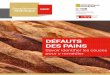 DÉFAUTS DES PAINS - Institut National de la Boulangerie 