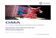 2017-05-OMA-dossier ressources pour l'enseignant-e-web