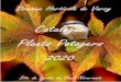 Catalogue Plants Potagers 2020 - Lycee de Varzy