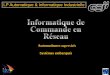 LP Automatique & Informatique Industrielle