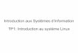 Introduction aux Systèmes d’Information TP1: Introduction 