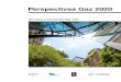 Perspectives Gaz 2020 - grtgaz.com