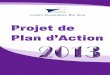 Projet de Plan d’action 2013