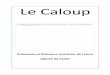Le CALOUP - passy1912.fr