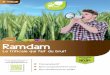 Céréales Ramdam - Agriconomie