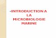 INTRODUCTION A LA MICROBIOLOGIE MARINE