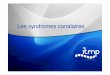 syndromes canalaires ITMP