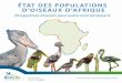 Une évaluation par le partenariat de BirdLife en Afrique
