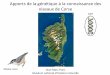 Apports de la génétique à la connaissance des oiseaux de Corse