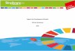 Rapport de Développement Durable Ville de Strasbourg 2019