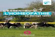 l’essentiel de l’homeopathie - Bio Nouvelle-Aquitaine