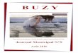 journal Buzy 9