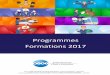Programmes Formations 2017 - SIEI