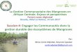 La Gestion Communautaire des Mangroves en Afrique Centrale 