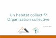 Un habitat collectif? Organisation collective